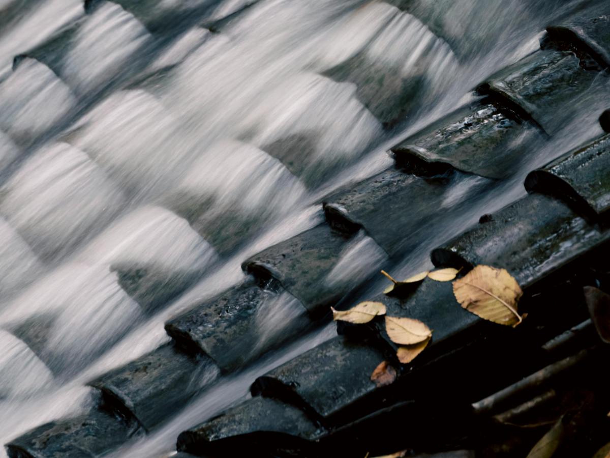 Voces ensortijadas. 319. La abundancia en la vida. María Gabriela López&nbsp;Suárez
