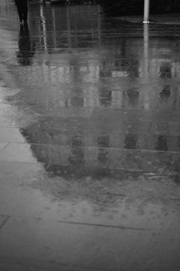 Photo by Albina White: https://www.pexels.com/photo/a-grayscale-of-a-wet-pavement-11792924/