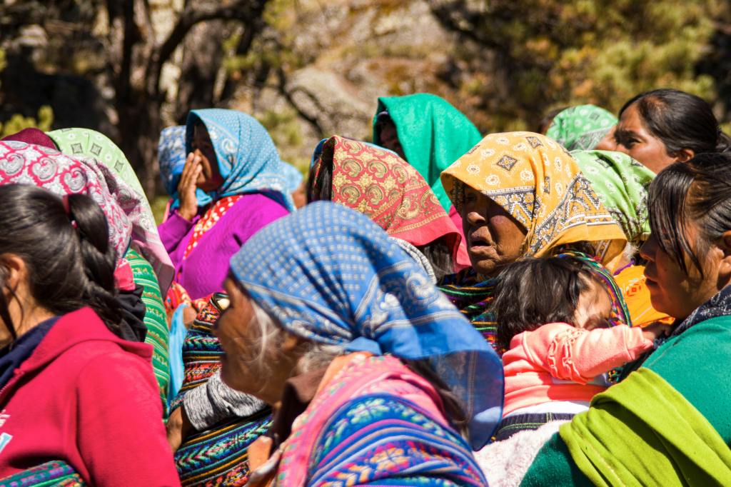 Photo by Uriel Venegas: https://www.pexels.com/photo/group-of-women-in-headscarves-20142824/