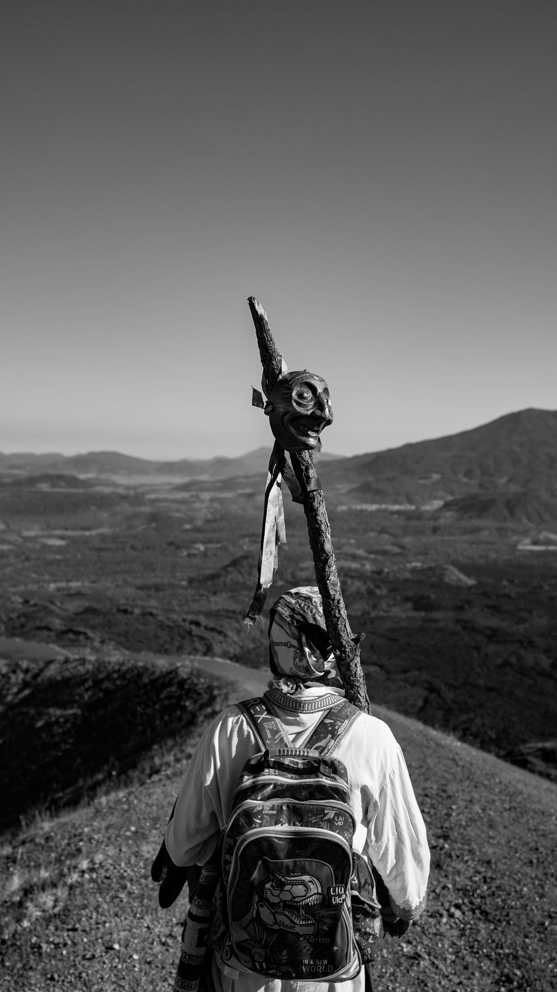 Photo by Luis Vargas: https://www.pexels.com/photo/adventurer-with-staff-overlooking-mexican-highlands-35888874/