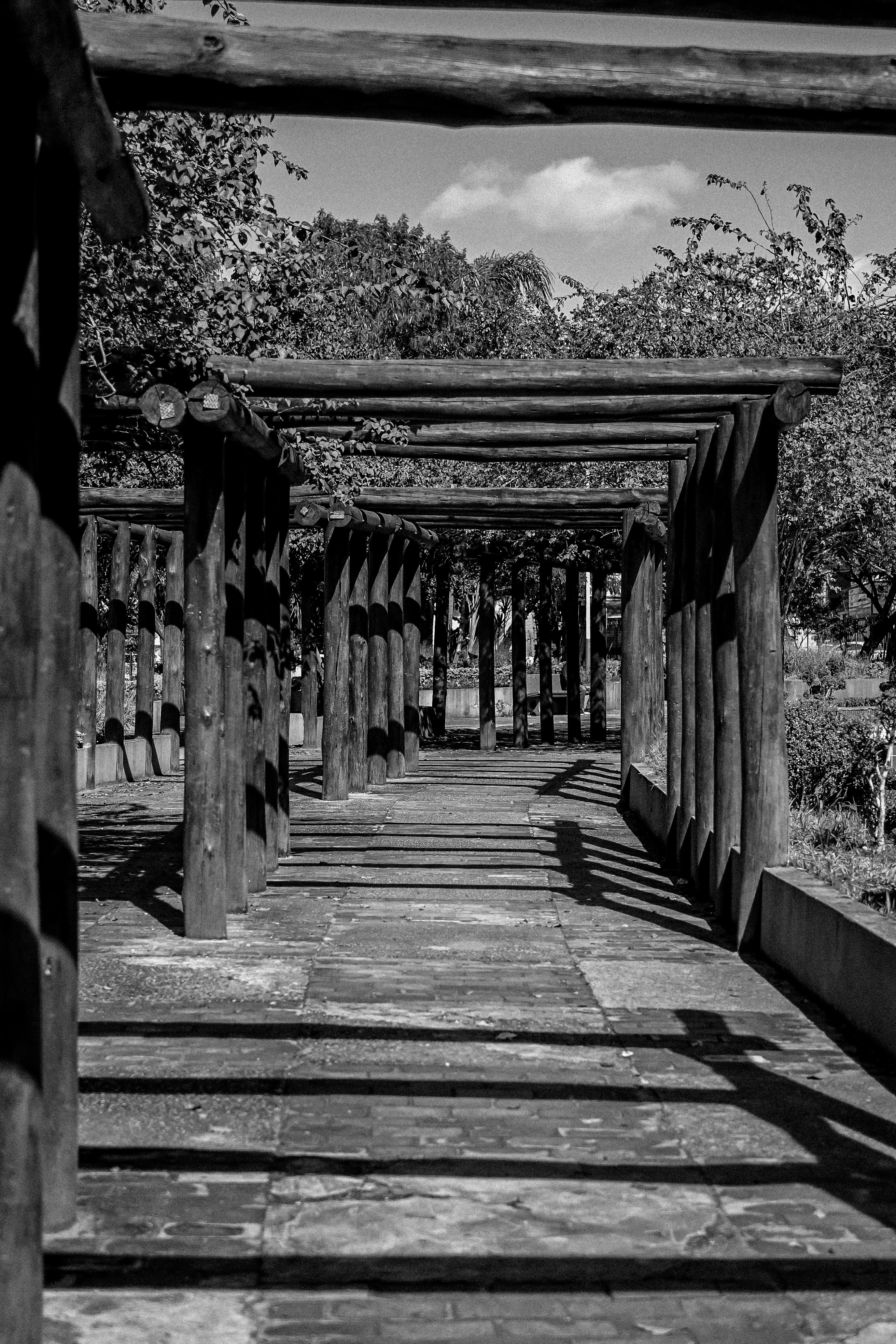 Photo by Peter Caretta: https://www.pexels.com/photo/black-and-white-wooden-pergola-pathway-in-park-32550881/