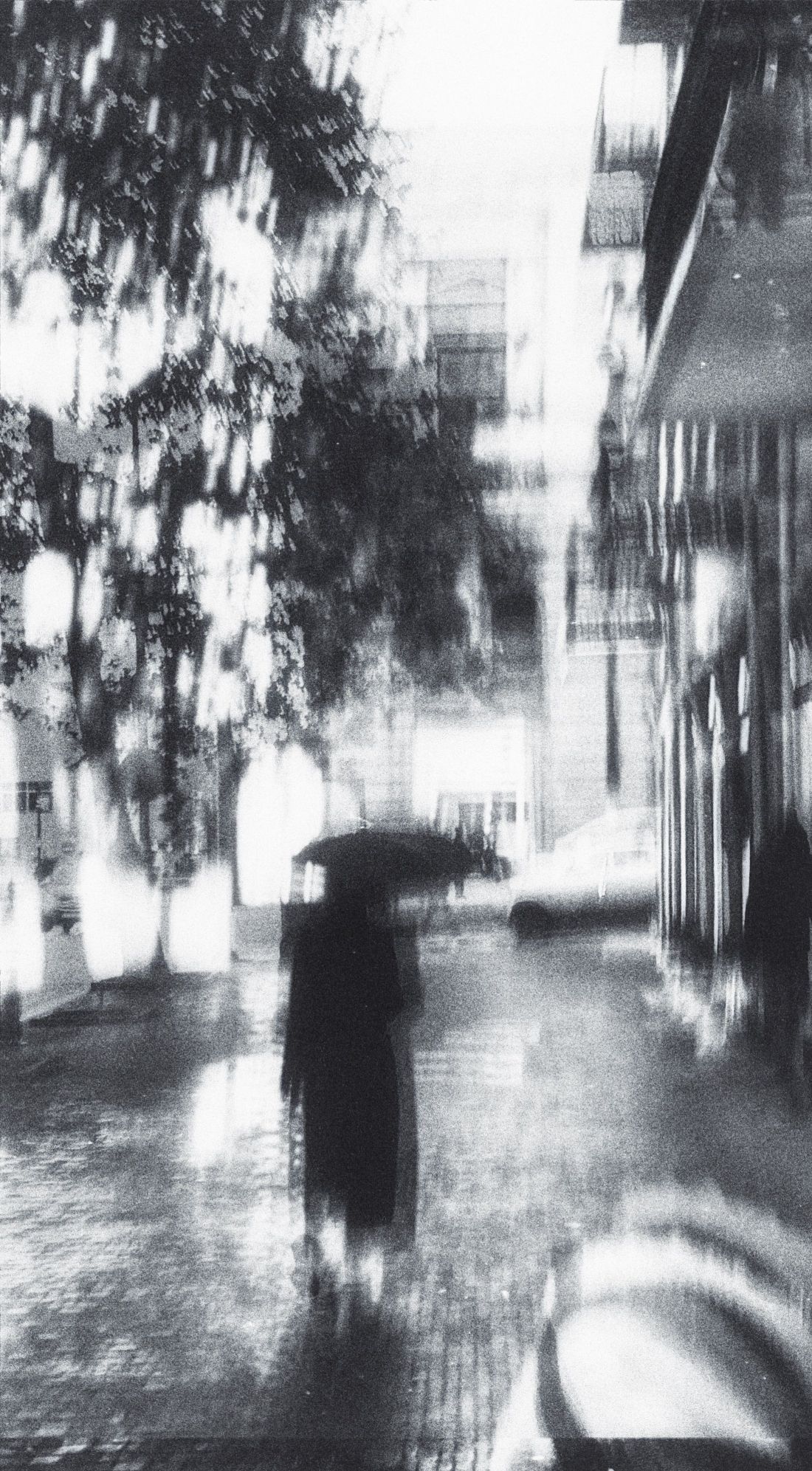 Photo by Narmin Aslanli: https://www.pexels.com/photo/monochrome-rainy-street-with-blurred-silhouette-29705459/