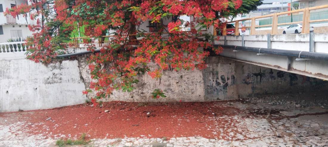 Fotografía: MGLS: