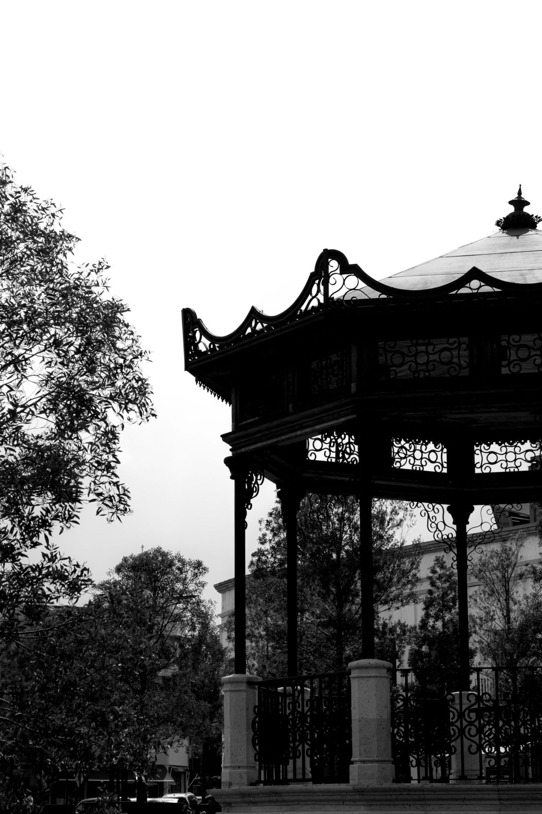 Photo by Matosuky: https://www.pexels.com/photo/elegant-gazebo-surrounded-by-trees-in-black-and-white-34095729/